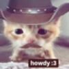 kitty kitty